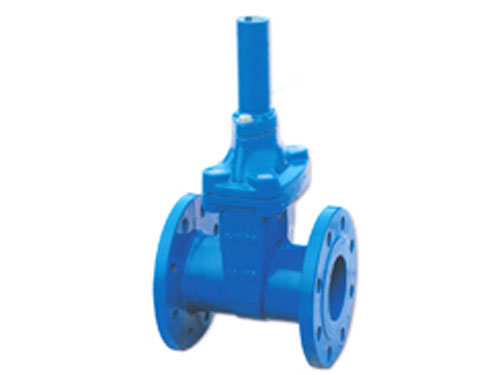 锁闭式地下弹性座封闸阀(RVCB/SBZ45X-16)